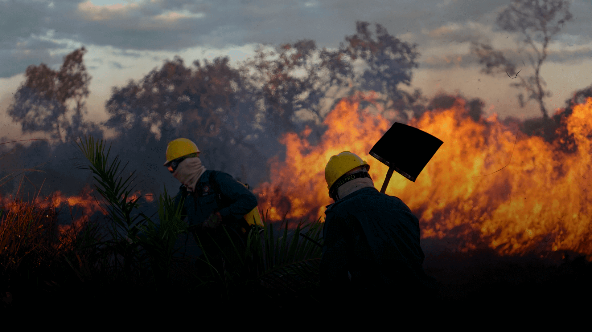 Segundo slide, com a foto de um incêndio em meio ao campo, onde dois bombeiros estão a frente apagando o fogo. Há dois botões para apoiar ou receber treinamento da Brigada de Incêndios da Aliança da Terra